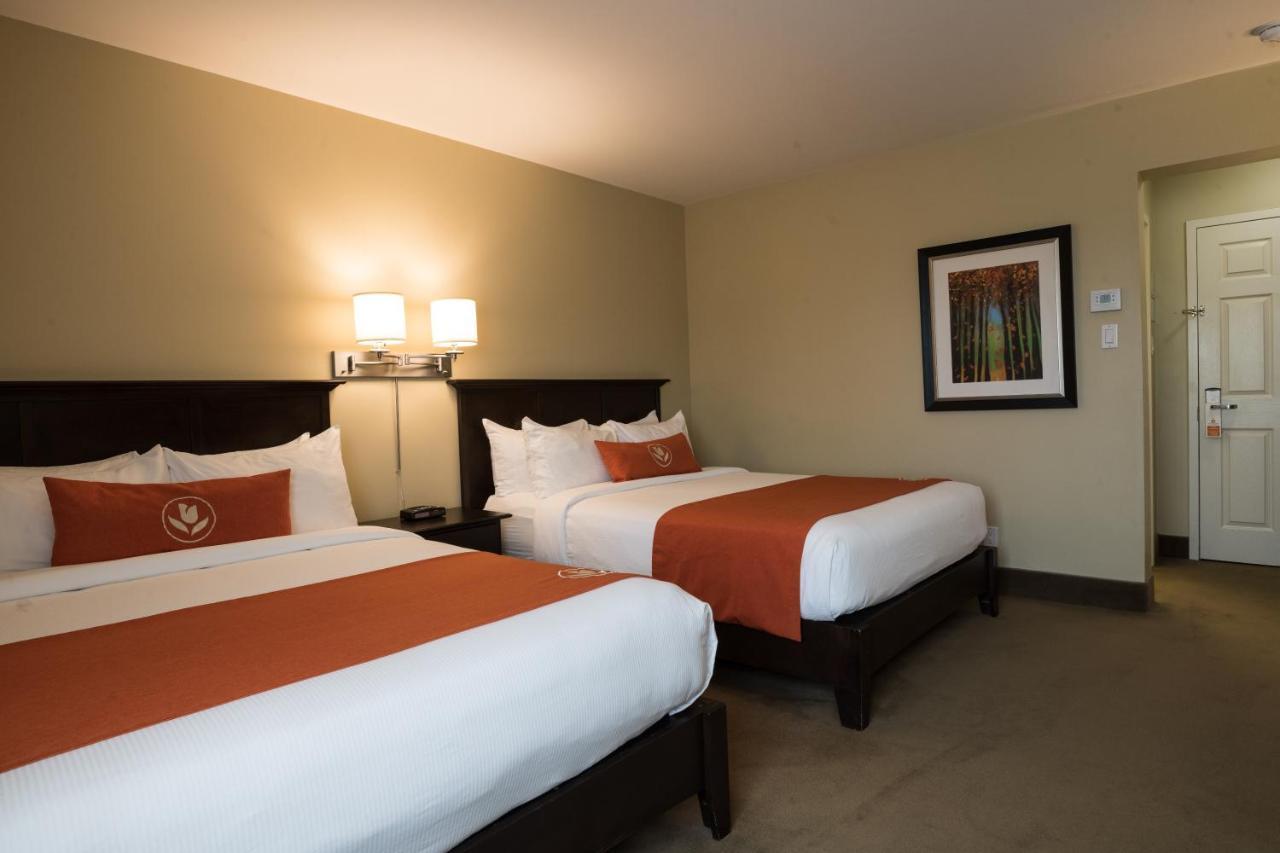 Amsterdam Inn & Suites Sussex Eksteriør bilde