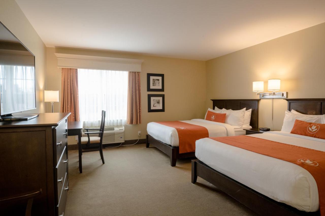 Amsterdam Inn & Suites Sussex Eksteriør bilde