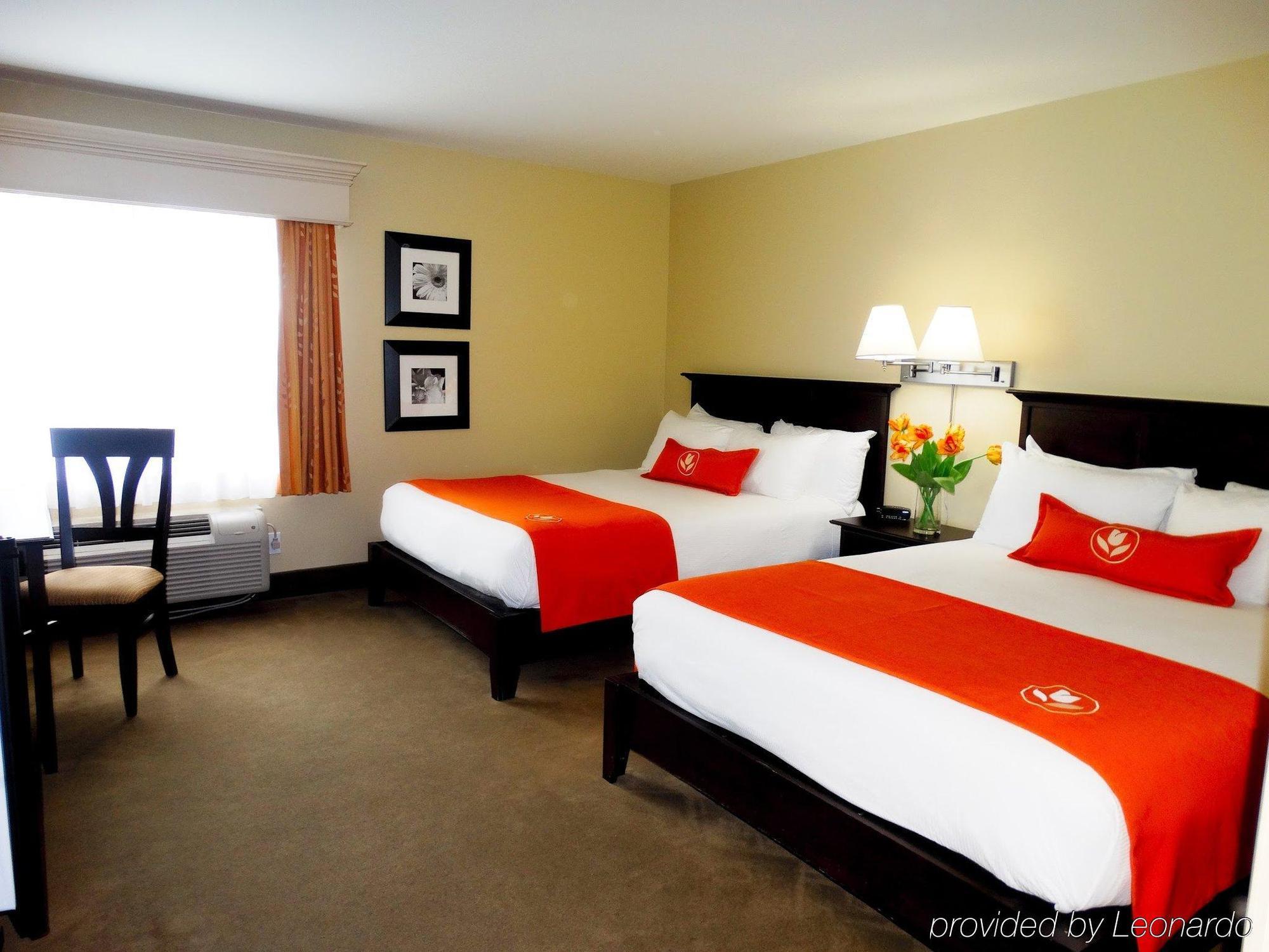 Amsterdam Inn & Suites Sussex Eksteriør bilde