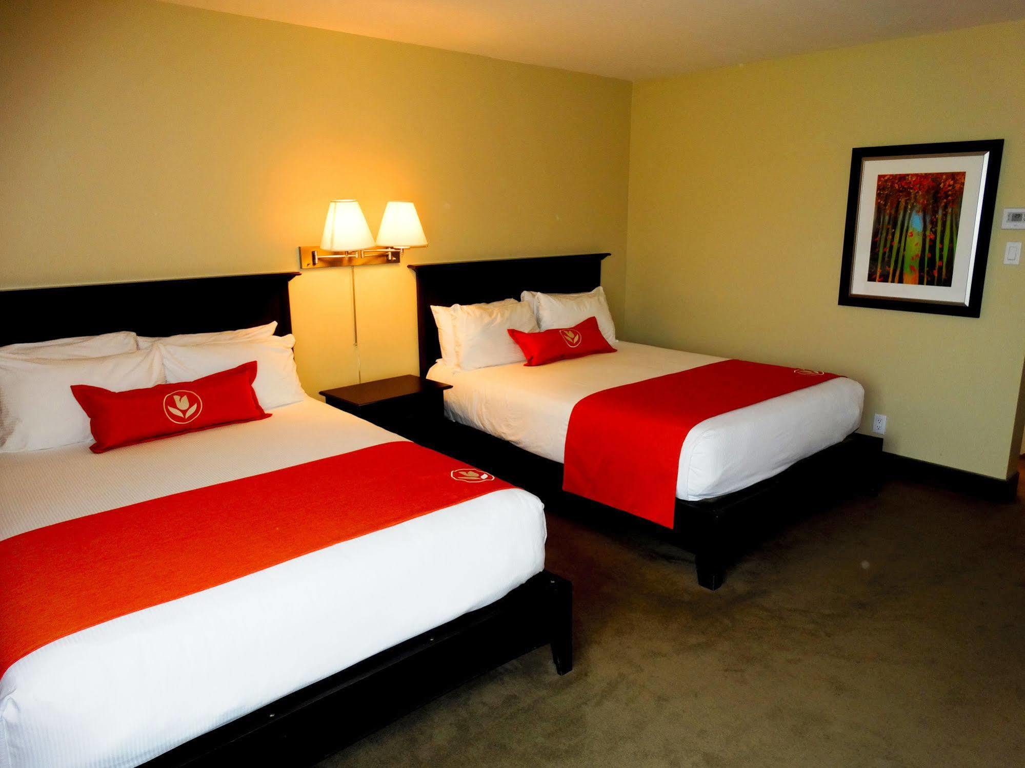 Amsterdam Inn & Suites Sussex Eksteriør bilde