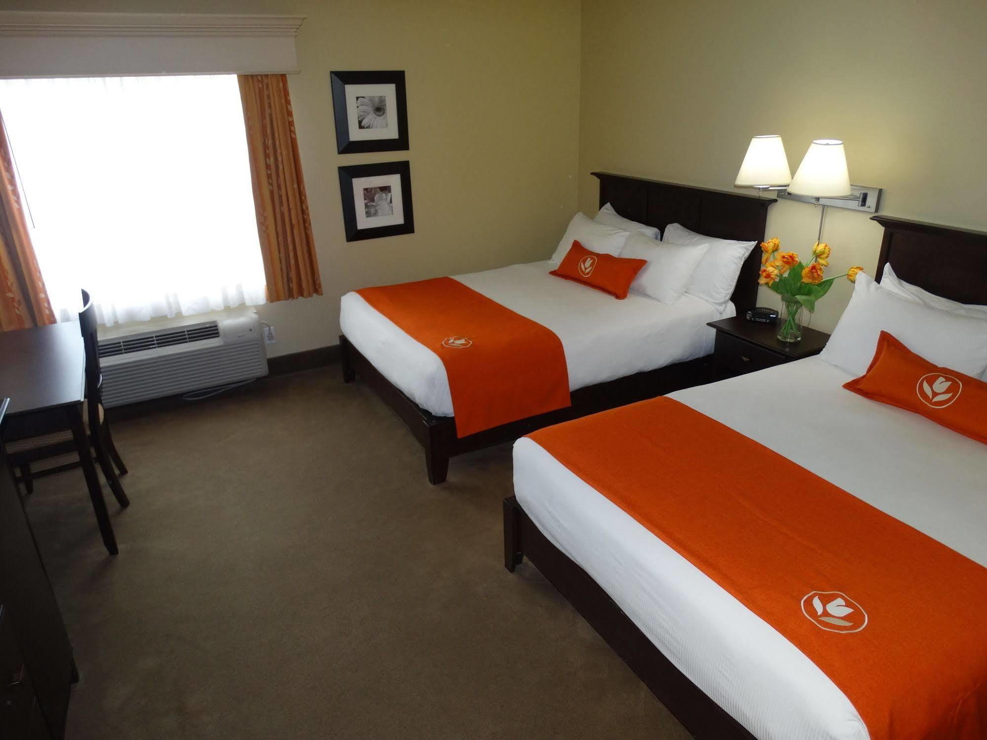 Amsterdam Inn & Suites Sussex Eksteriør bilde