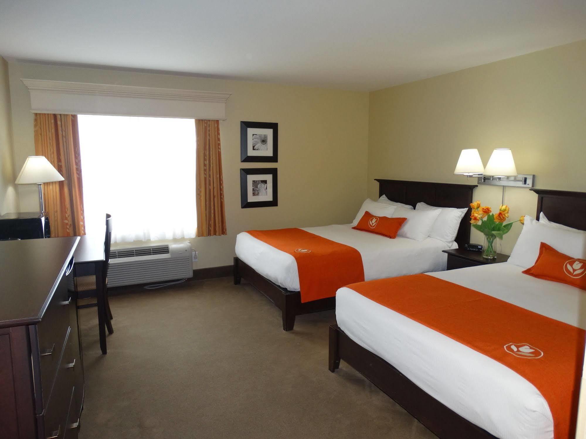 Amsterdam Inn & Suites Sussex Eksteriør bilde